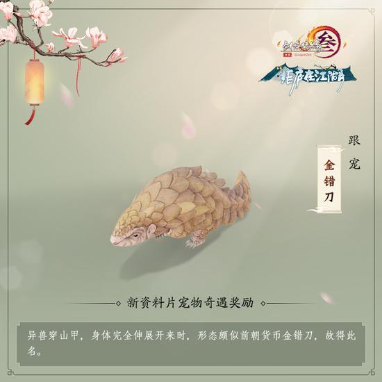 跟宠“金错刀”