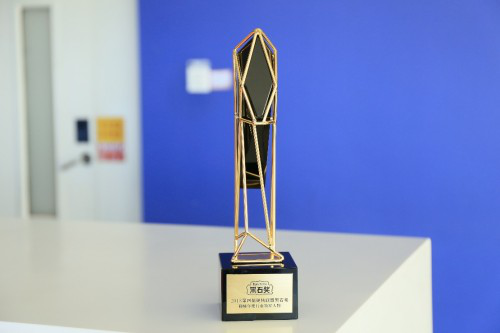 完美世界总裁、完美世界游戏CEO鲁晓寅获得“年度行业领军人物”奖杯