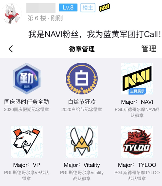 CSGO Major印花胶囊、观赛通行证以及全新战队布章上线！