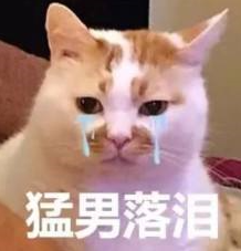 9102ˣүүԤԼġʷʫڹ