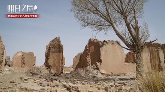 沙漠无人区的拍摄实景