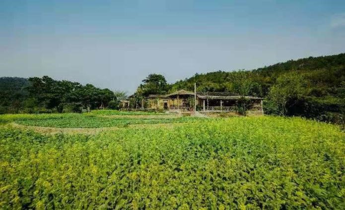 补齐贫困地区和贫困人口的短板_补短板图片