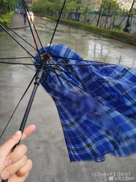 深圳网友分享图片，雨伞已被风雨肢解了。