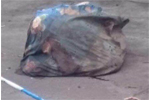 广州闹市垃圾堆发现袋装尸体 散发恶臭路人掩鼻