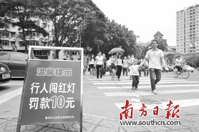 8月1日起交警部门将严查行人违规过马路。 南方日报记者 梁维春 摄