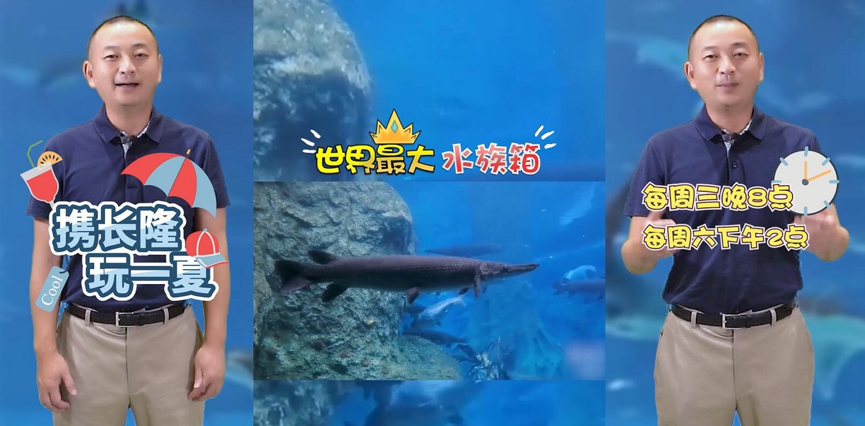 6月6日,携程董事局主席梁建章在第6场周末探店直播中,为珠海长隆“带货”