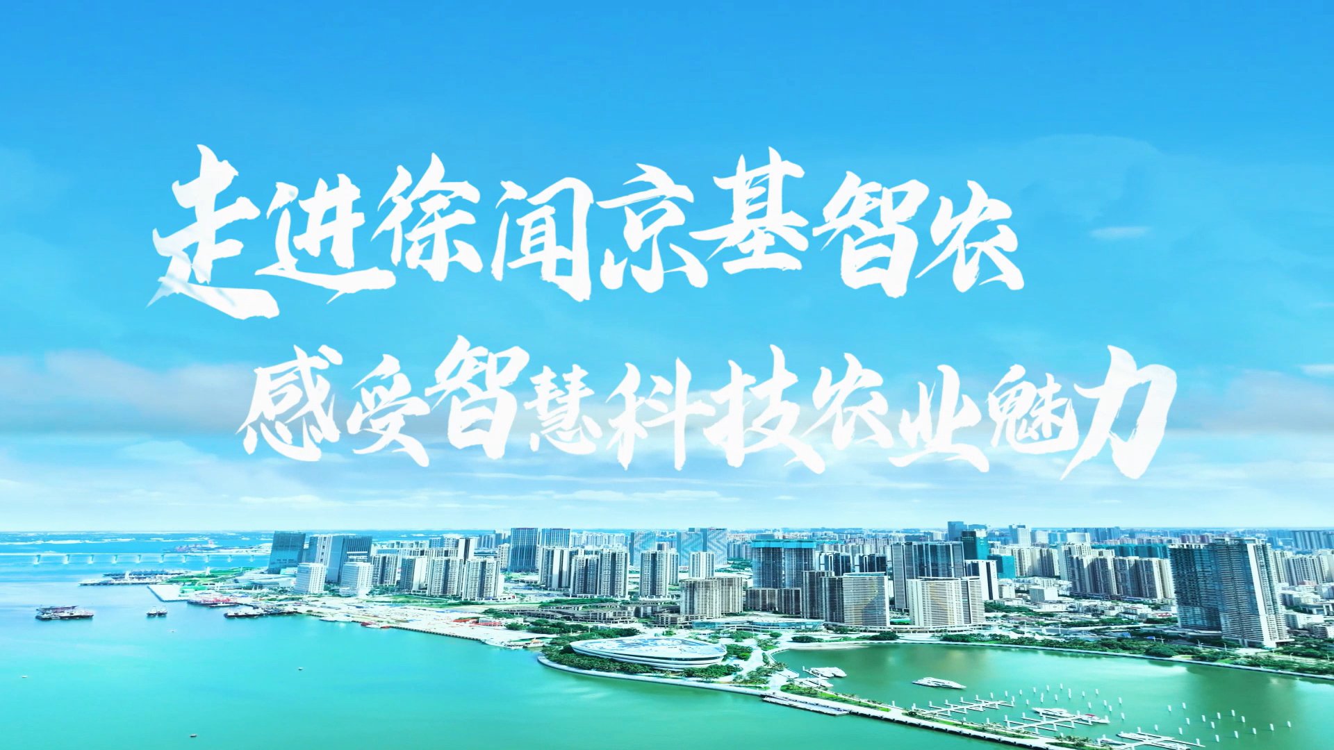 走进徐闻京基智农 感受智慧科技农业魅力