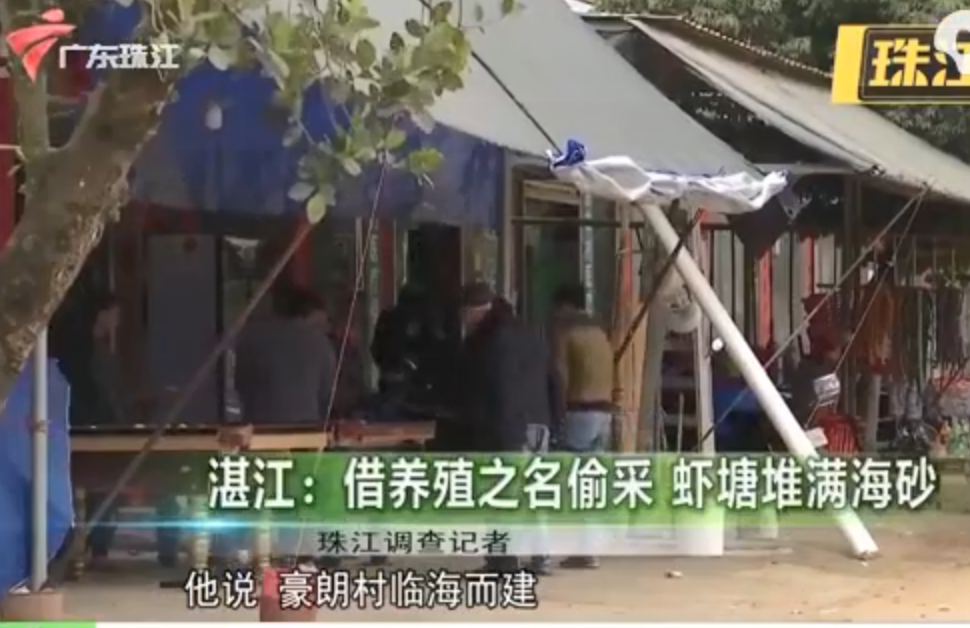 湛江：借养殖之名偷采 虾塘堆满海砂