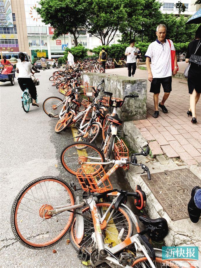 ■客村地铁站附近有单车甚至被放到了马路边上。新快报记者 许力夫/摄