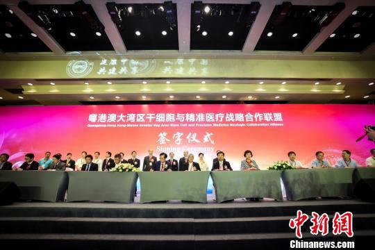 粤港澳大湾区干细胞与精准医疗战略合作联盟签字仪式　索有为　摄