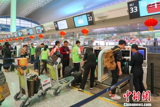 春节黄金周7天广州白云机场客流超145万人次 通讯员供图