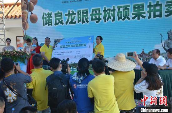 储良龙眼母树鲜果拍卖现场。 梁盛 摄