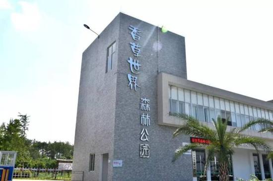 清晨时分