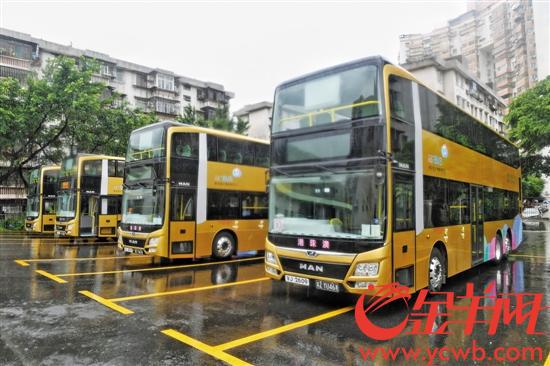 港珠澳大桥穿梭巴士昵称为“金巴”