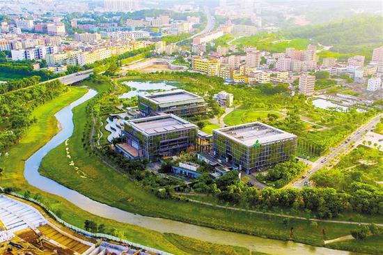 深圳国际低碳城绿意盎然 昔日柔宇工地蝶变成