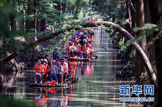 10月4日，游客在江苏兴化“水上森林”中乘船游览。 新华社发（汤德宏 摄）