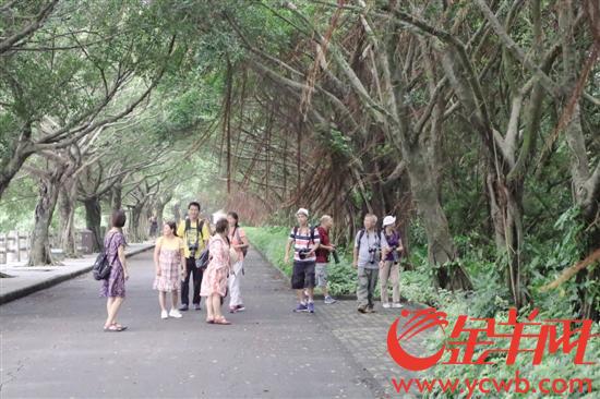 南沙湿地 许俊杰 摄