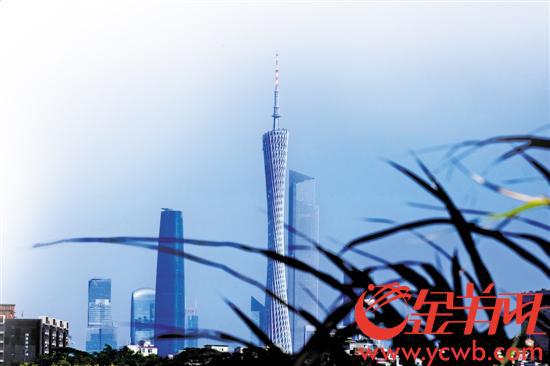 广州空气质量越来越好，“广州蓝”已是名片 记者陈秋明摄