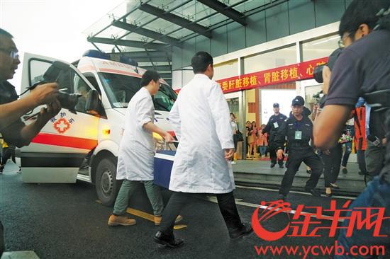 救护车顺利抵达，供心被第一时间送往手术室 记者 黄巍俊 摄