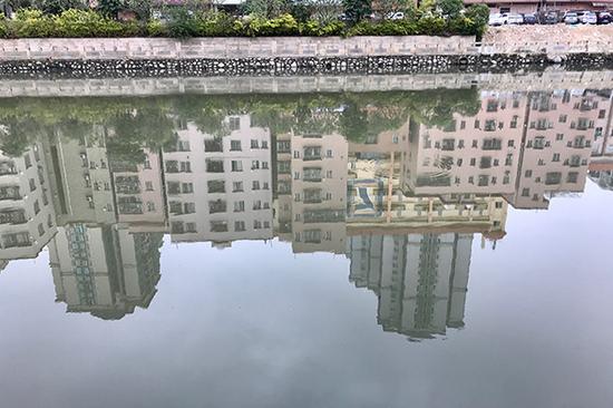 某河涌治理后