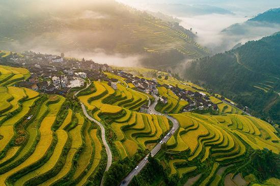 贵州省雷山县雷公山开屯梯田美景 IC 资料图