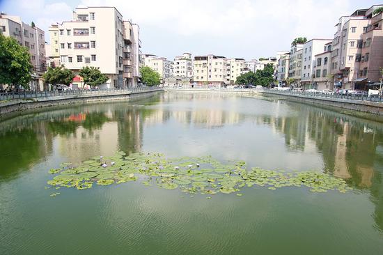 双岗涌鱼塘整治后。 广州市河长办供图