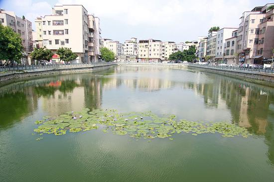 　双岗涌鱼塘整治后。 广州市河长办供图