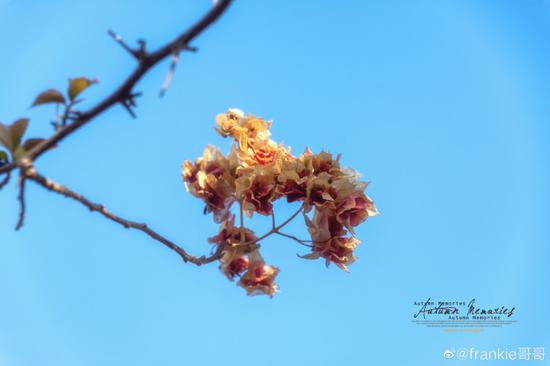 30日广州天气晴朗干燥(图/新浪微博网友)