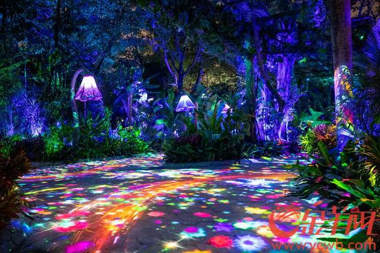 广州|萌宝总动员 长隆十种珍稀动物新生宝宝集体与游客见面