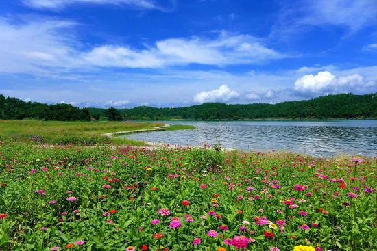 ▲万绿谷休闲度假旅游区