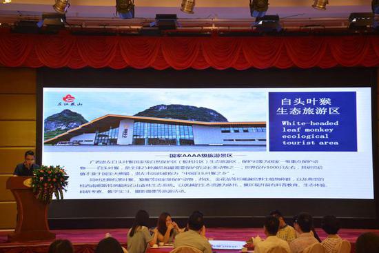 左江花山投资股份有限公司市场总监陈延春介绍崇左花投旅游资源