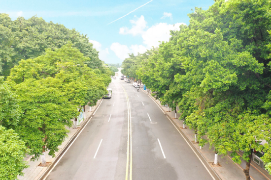 可园北路