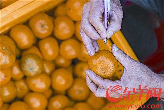 剥皮前先用小刀在柑上划三条口子