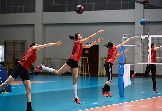 8月10日,浙江宁波,中国女排训练备战亚运会。视觉中国 图
