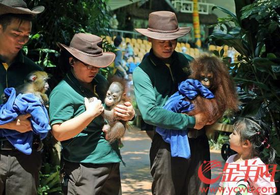 广州|萌宝总动员 长隆十种珍稀动物新生宝宝集体与游客见面