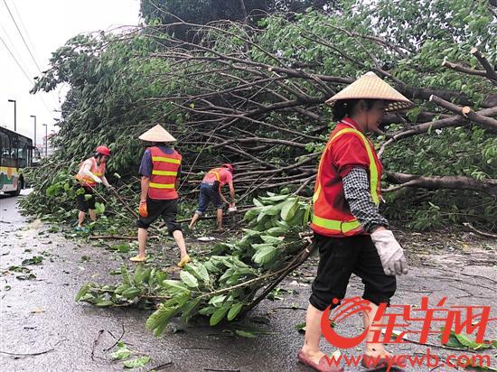 园林抢险人员连续奋战，保障道路畅通 宋金峪摄
