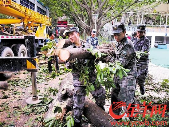 驻港部队深圳基地的百名官兵积极参与深圳校园清障工作 记者李晓旭摄