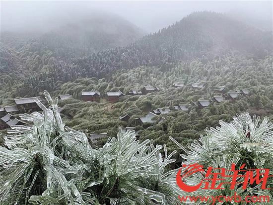 9日，连州高寒山区出现冰挂 通讯员李海丹 记者陈强摄