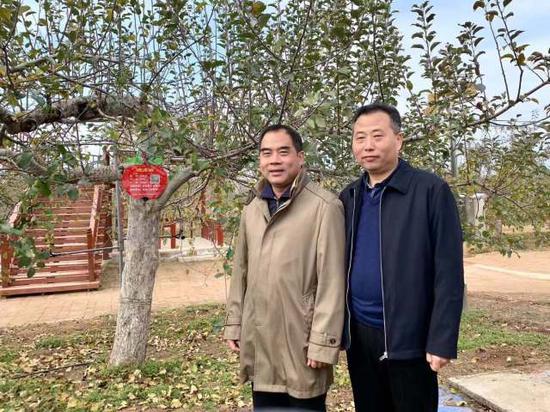 遂溪县县委书记余庆创与富县县委书记李志锋同赠送苹果树合影留念