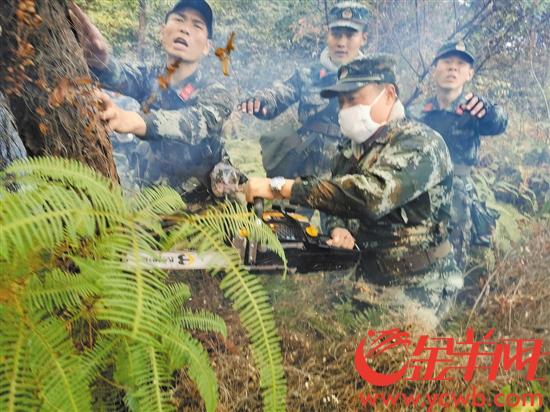 武警官兵清理防火林带