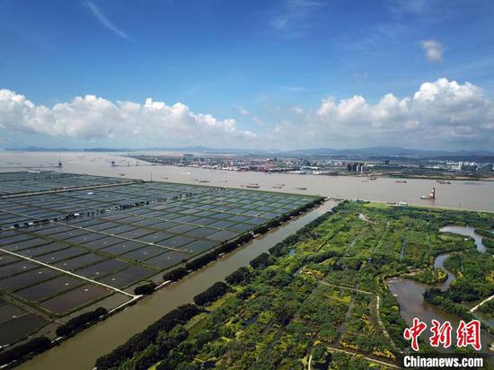 广州南沙湿地 姬东 摄