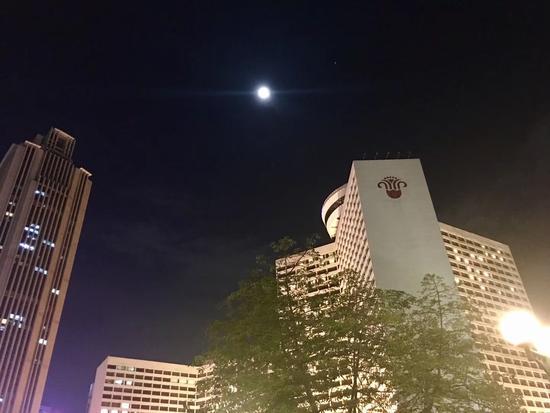 网友谭秋明 摄于环市东路