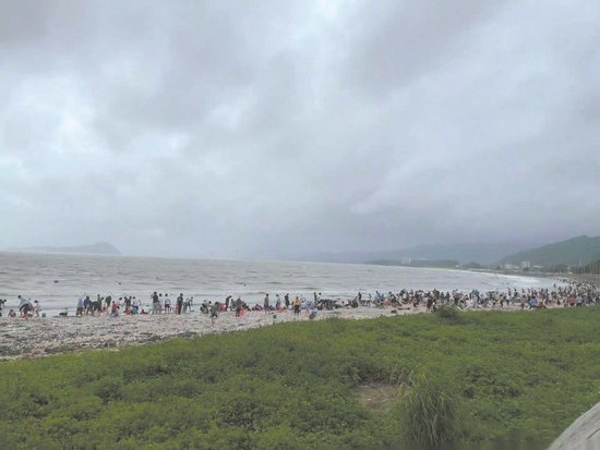 深汕特别合作区鲘门的海滩上,居民们冒雨赶海(网络视频截图)