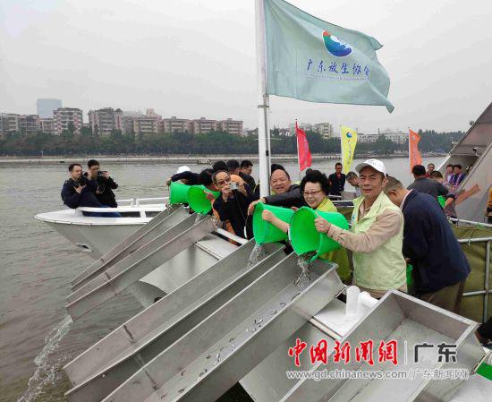 广东放生协会清明前在珠江放生。 主办方供图