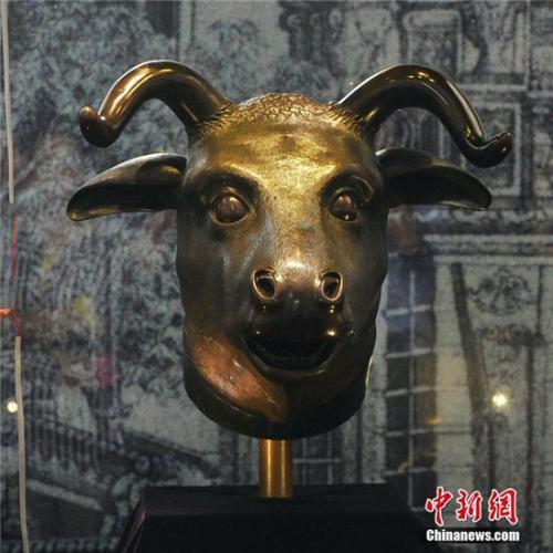 圆明园十二生肖兽首铜像中的牛首、虎首、猴首、猪首一起现身湖北宜昌。(中新社记者 王康明 摄)