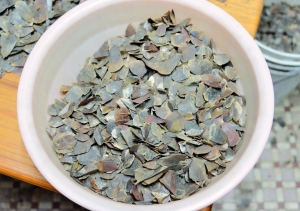 穿山甲鳞片