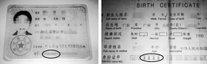 邓女士女儿的出生证上的母亲身份证号与邓女士的身份证上的号码不符。信息时报记者 徐敏 摄