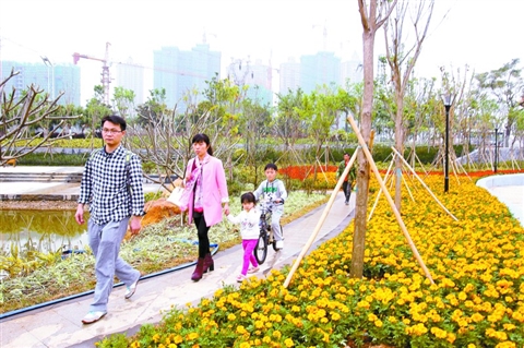 昨日，市民在新建成的桂畔海绿道游玩、赏花。/佛山日报记者张弘弢摄