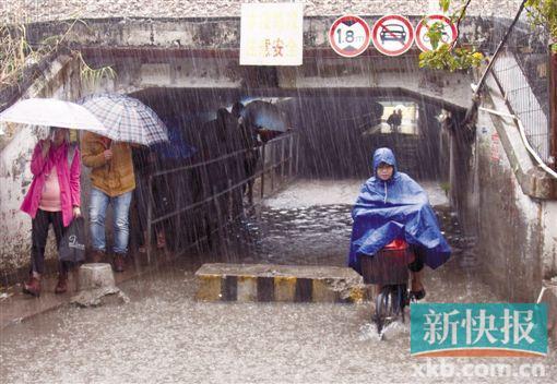 ■昨日上午,一名市民冒雨骑车经过天河区一处涵洞。 新快报记者 毕志毅/摄