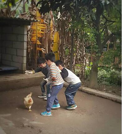 我的好老师:寓教于乐感受大自然的智慧_惠州频